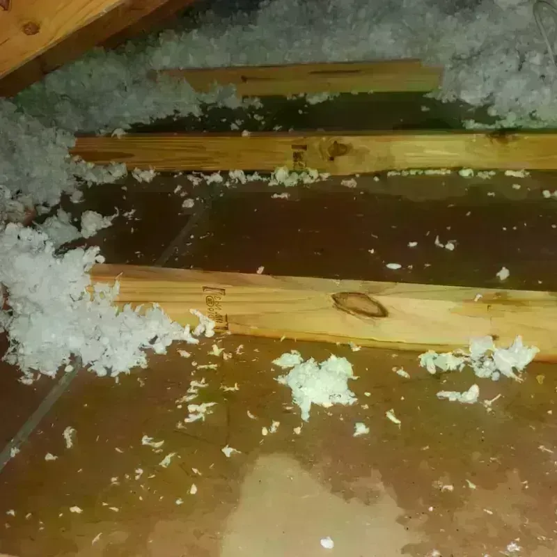 Attic Water Damage in Dover, NJ