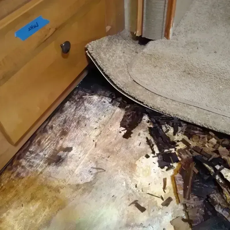 Wood Floor Water Damage in Dover, NJ